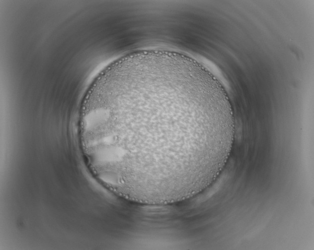 X0000113890863200910221415