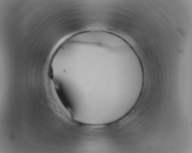 X0000113890864200910221415