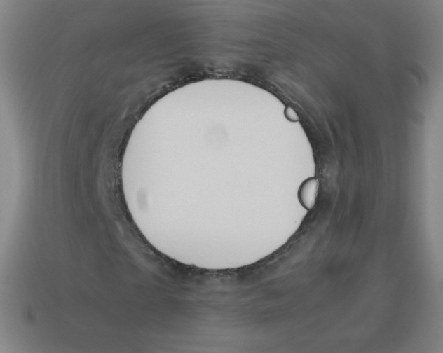 X0000113890865200910221414