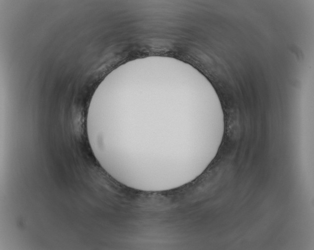 X0000113890866200910221414