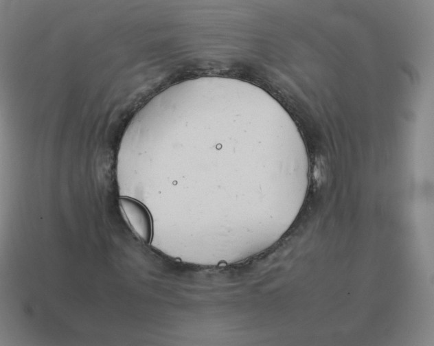 X0000113890867200910221414