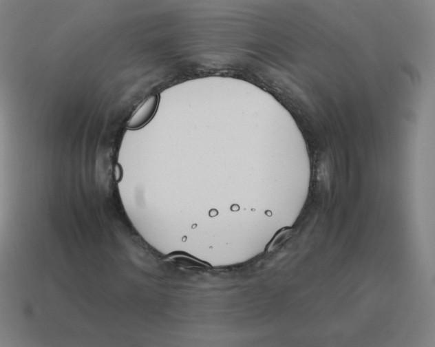 X0000113890868200910221414