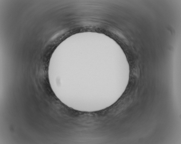 X0000113890869200910221414