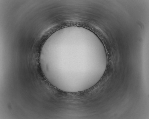 X0000113890870200910221414