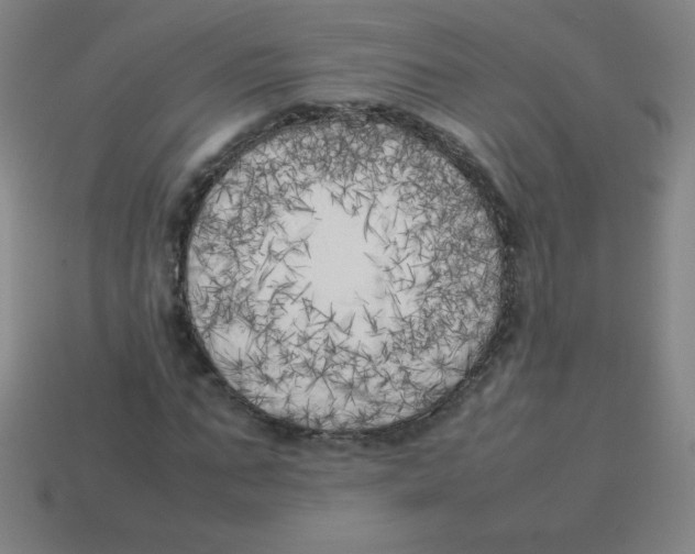 X0000113890871200910221414