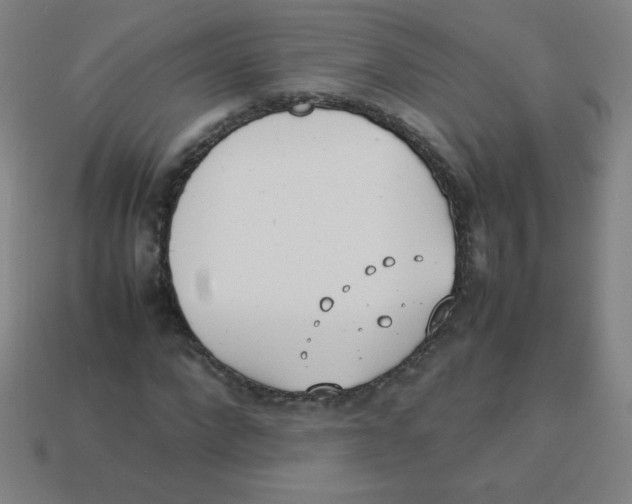 X0000113890872200910221414