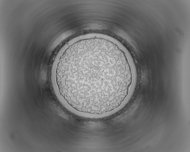 X0000113890874200910221414