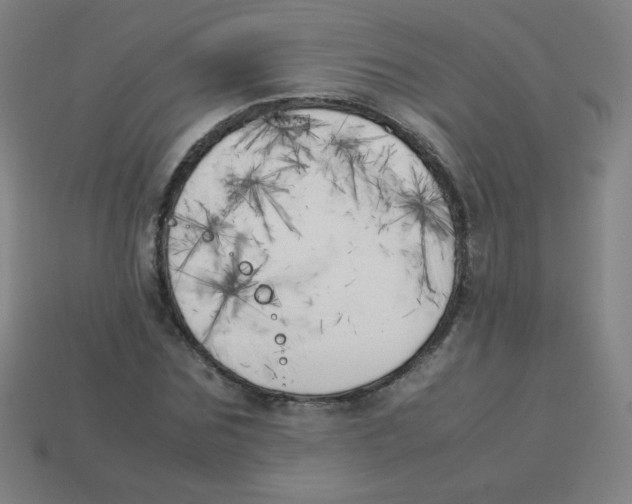 X0000113890875200910221414