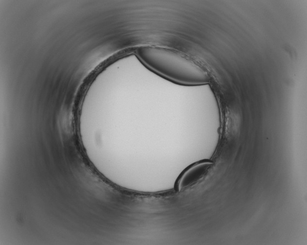 X0000113890876200910221414