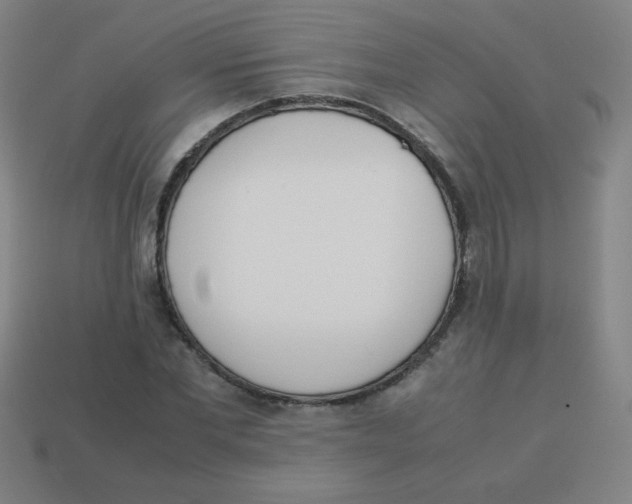 X0000113890877200910221414