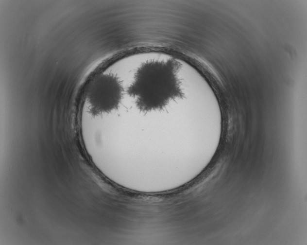X0000113890878200910221414