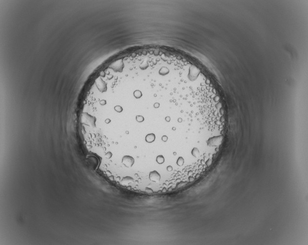 X0000113890879200910221414