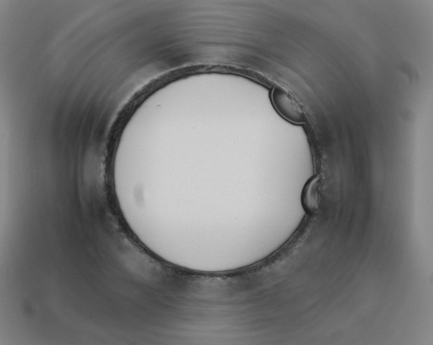 X0000113890880200910221414