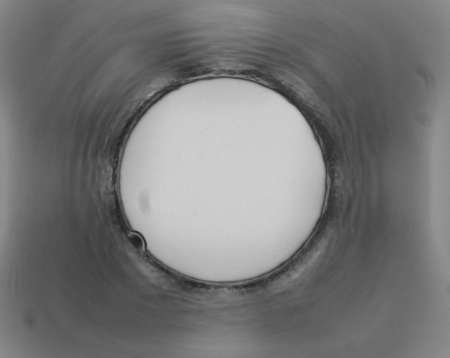 X0000113890881200910221414