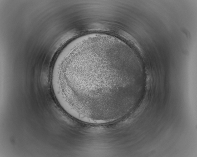 X0000113890882200910221414