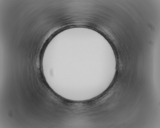 X0000113890883200910221414