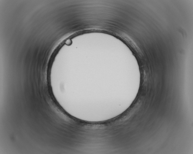 X0000113890884200910221414