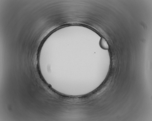 X0000113890885200910221414