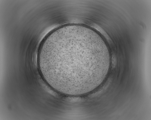 X0000113890886200910221414