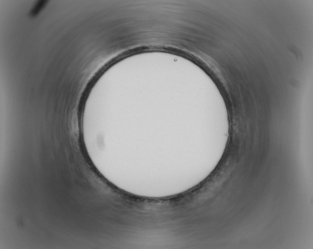 X0000113890887200910221414