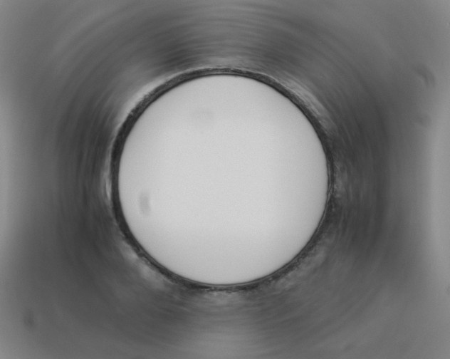 X0000113890888200910221414