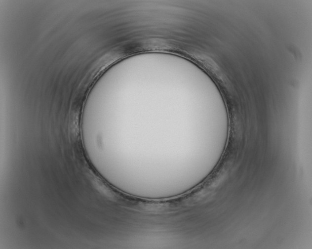 X0000113890889200910221414