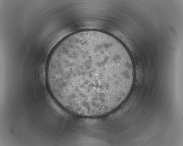 X0000113890890200910221414