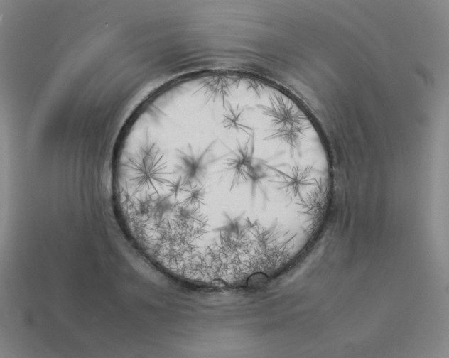 X0000113890891200910221414