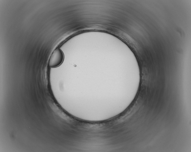 X0000113890892200910221414