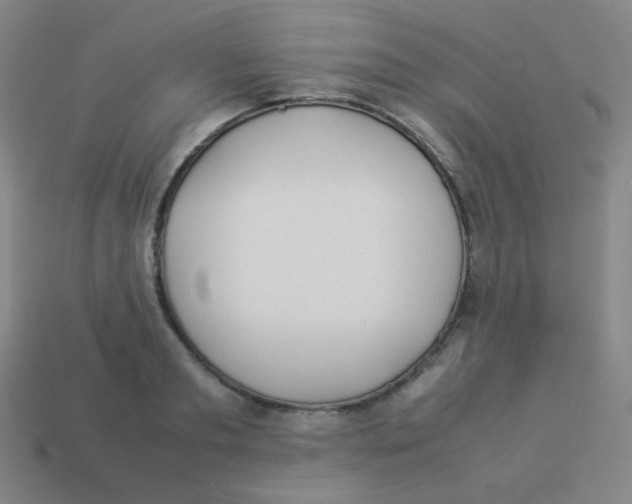 X0000113890893200910221414
