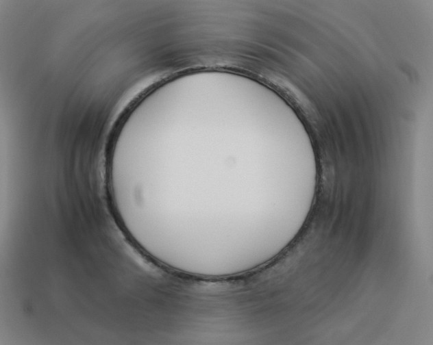 X0000113890894200910221414