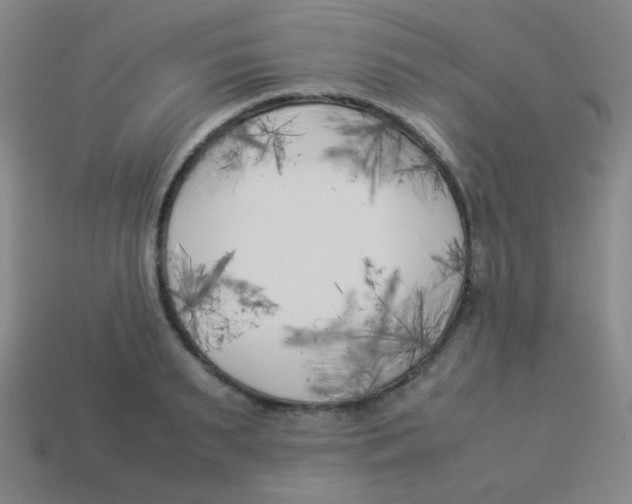 X0000113890895200910221414