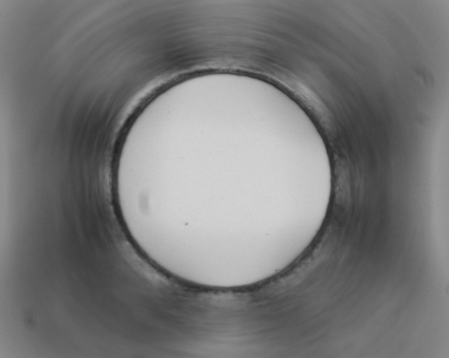 X0000113890896200910221414