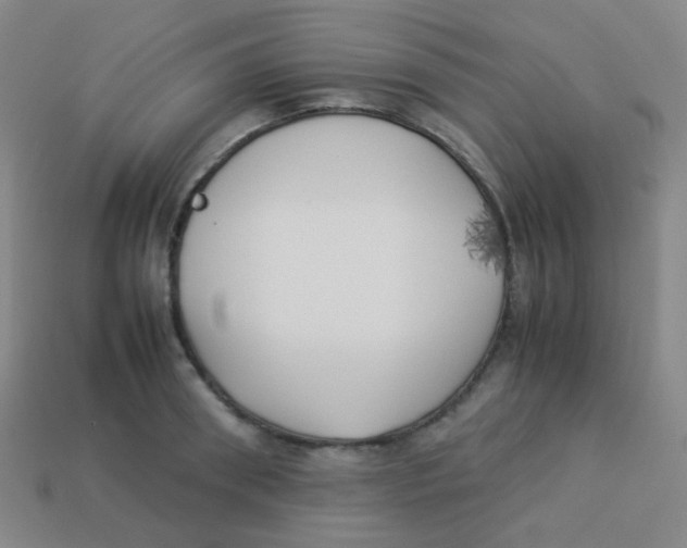 X0000113890898200910221414