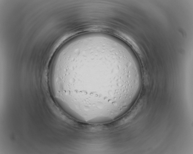 X0000113890899200910221414