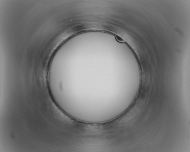 X0000113890901200910221414