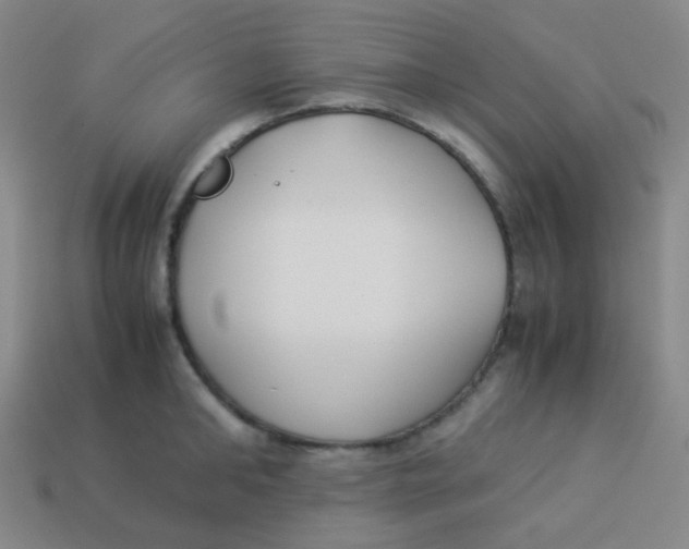 X0000113890902200910221414