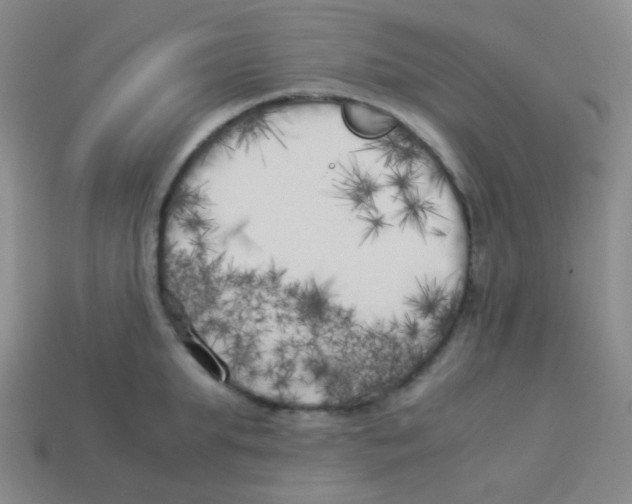X0000113890903200910221414