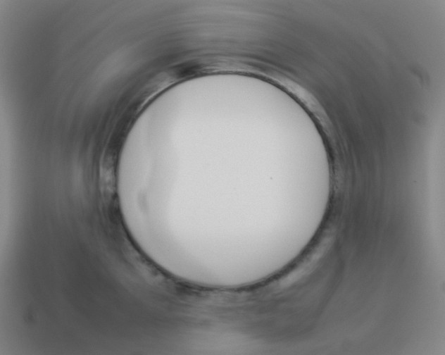 X0000113890905200910221414
