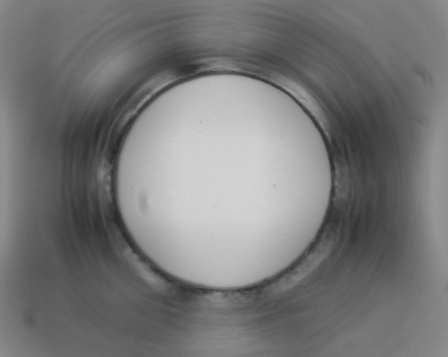 X0000113890906200910221414