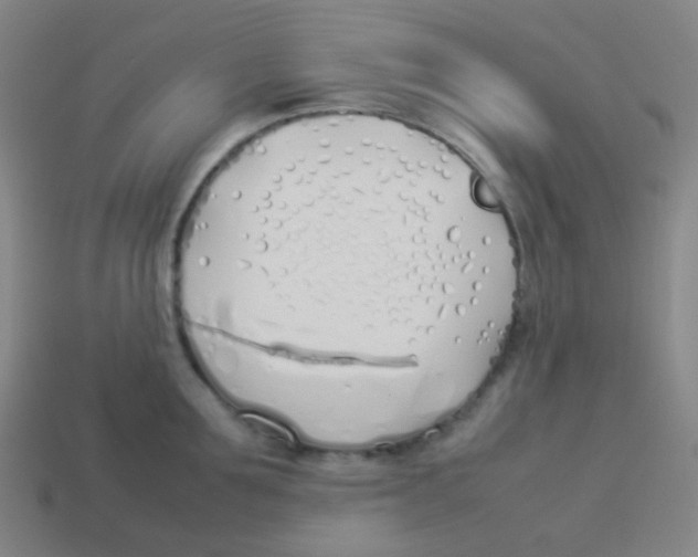 X0000113890907200910221414
