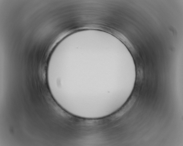 X0000113890908200910221414