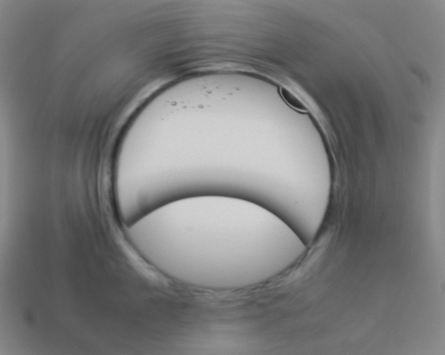 X0000113890909200910221414