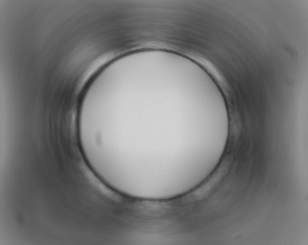 X0000113890910200910221414