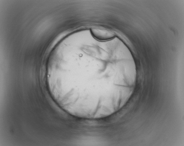 X0000113890911200910221414