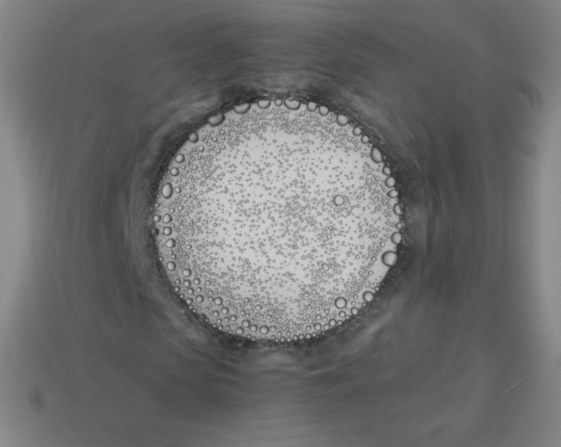 X0000113890913200910221413