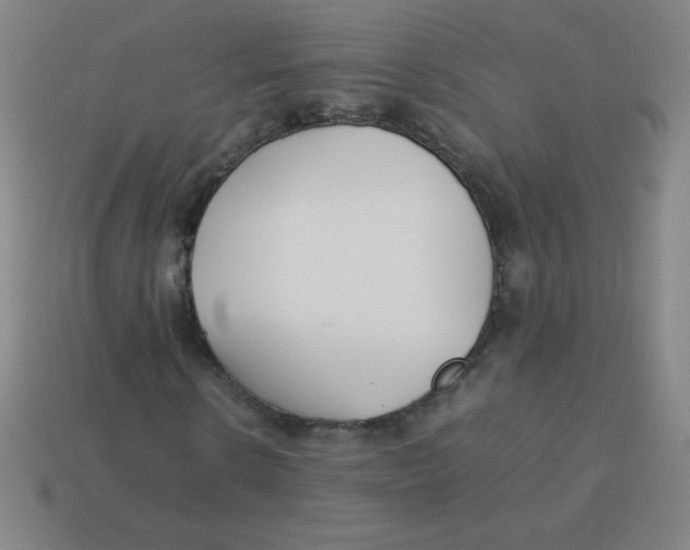 X0000113890914200910221413
