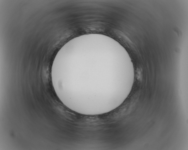 X0000113890915200910221413