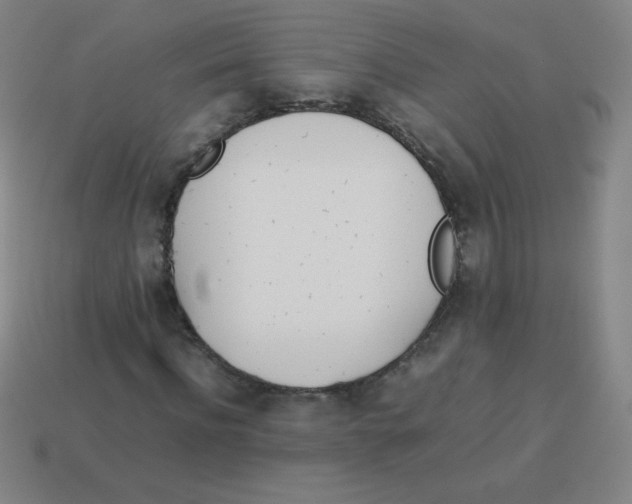 X0000113890916200910221413