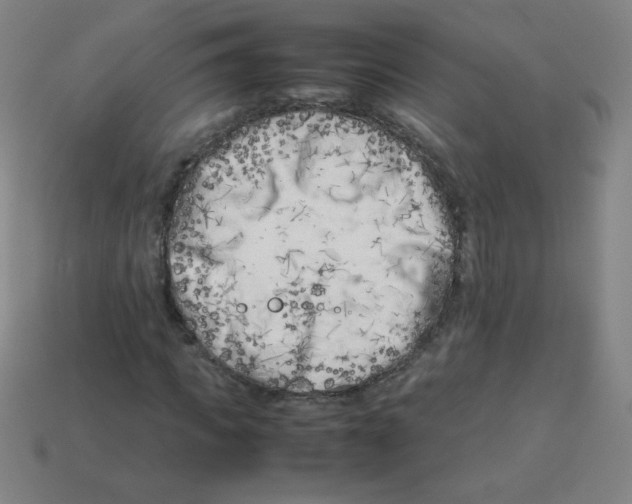X0000113890917200910221413